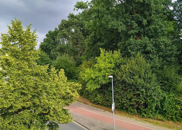 Apartament Schickes *